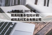 上市信托-207号咸阳高科集合信托计划(咸阳高科实业有限公司)