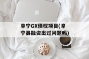 阜宁GX债权项目(阜宁县融资出过问题吗)