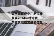 关于四川遂宁广利工业发展2024年特定资产拍卖政信定融的信息