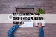 台儿庄财金2024年债权计划(台儿庄财政局网站)
