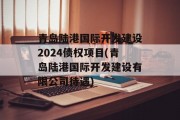 青岛陆港国际开发建设2024债权项目(青岛陆港国际开发建设有限公司待遇)