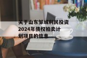 关于山东邹城利民投资2024年债权拍卖计划项目的信息