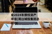 河南周口市城投经开实业2024年债权资产项目(周口城投集团总经理)