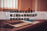 2024年四川资阳市雁江建投水务债权资产拍卖的简单介绍
