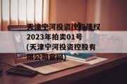 天津宁河投资控股债权2023年拍卖01号(天津宁河投资控股有限公司官网)