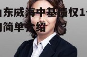 山东威海中基债权1号的简单介绍