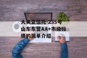 大央企信托-235号山东东营AA+市级标债的简单介绍