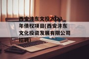 西安沣东文投2023年债权项目(西安沣东文化投资发展有限公司招聘)