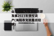 山东烟台海阳文化旅游发展2023年债权资产(海阳市文旅集团招聘)