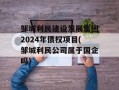 邹城利民建设发展集团2024年债权项目(邹城利民公司属于国企吗)