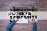 邹城利民建设发展集团2024年债权项目(邹城利民公司属于国企吗)