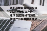 酉阳县桃花源旅游投资2024年债权资产转让项目(酉阳桃花源旅游地产开发有限责任公司)