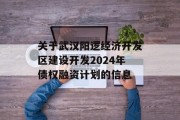 关于武汉阳逻经济开发区建设开发2024年债权融资计划的信息