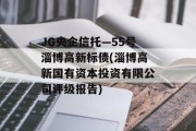 JG央企信托—55号淄博高新标债(淄博高新国有资本投资有限公司评级报告)