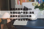洛阳高新实业2023年债权资产项目(洛阳高新实业2023年债权资产项目有哪些)