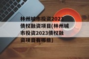 林州城市投资2023债权融资项目(林州城市投资2023债权融资项目有哪些)