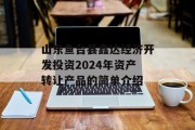 山东鱼台县鑫达经济开发投资2024年资产转让产品的简单介绍