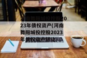 河南舞阳城投控股2023年债权资产(河南舞阳城投控股2023年债权资产转让)