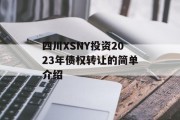 四川XSNY投资2023年债权转让的简单介绍