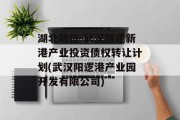 湖北政信-武汉阳逻新港产业投资债权转让计划(武汉阳逻港产业园开发有限公司)