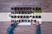 陕西安康高新产业发展2024年债权资产(陕西安康高新产业发展2024年债权资产评估)