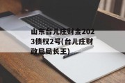 山东台儿庄财金2023债权2号(台儿庄财政局局长王)