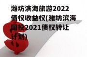 潍坊滨海旅游2022债权收益权(潍坊滨海国投2021债权转让计划)