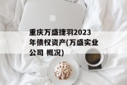重庆万盛捷羽2023年债权资产(万盛实业公司 概况)