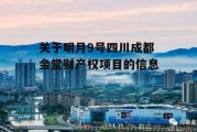 关于明月9号四川成都金堂财产权项目的信息
