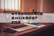 关于河南安阳林州红旗渠2023年债权资产的信息