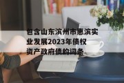 包含山东滨州市惠滨实业发展2023年债权资产政府债的词条