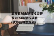 武陟县城市建设投资开发2024年债权项目(武陟县城市规划)