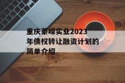 重庆綦嵘实业2023年债权转让融资计划的简单介绍