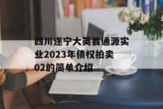 四川遂宁大英县通源实业2023年债权拍卖02的简单介绍