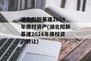 湖北阳新基建2024年债权资产(湖北阳新基建2024年债权资产转让)