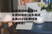 山东晟润水务2024年债权项目(山东晟润水务2024年债权项目有哪些)