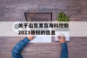 关于山东青岛海科控股2023债权的信息