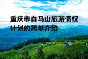重庆市白马山旅游债权计划的简单介绍