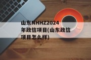 山东NHHZ2024年政信项目(山东政信项目怎么样)