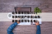 山东泰丰控股2023年债权资产项目(山东省国资委领导名单)