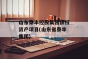 山东泰丰控股集团债权资产项目(山东省泰丰集团)
