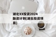 湖北XX投资2024融资计划(湖北投资项目)