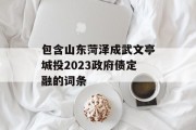 包含山东菏泽成武文亭城投2023政府债定融的词条