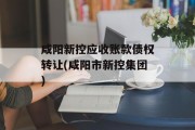 咸阳新控应收账款债权转让(咸阳市新控集团)