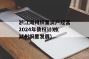 浙江湖州织里资产经营2024年债权计划(湖州织里发展)