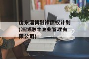 山东淄博融锋债权计划(淄博融丰企业管理有限公司)