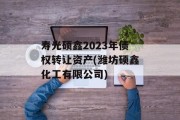 寿光硕鑫2023年债权转让资产(潍坊硕鑫化工有限公司)
