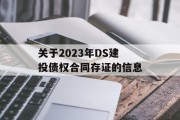 关于2023年DS建投债权合同存证的信息