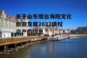关于山东烟台海阳文化旅游发展2022债权资产的信息