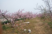 包含山东济宁邹城市圣城文化旅游开发债权系列的词条